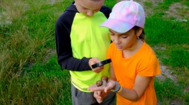 Children look at a snail with a magnifying glass, selective focus. Kid.
