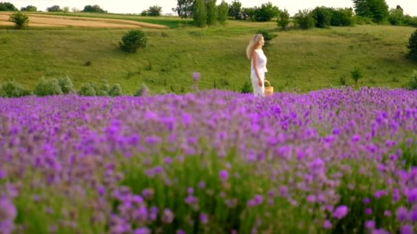 Woman Lavender Field Selective Focus Nature — Wideo stockowe