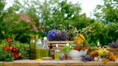 Medicinal herbs and tinctures on the table. Selective focus. Nature.