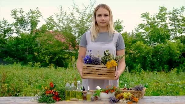 Woman Makes Tincture Medicinal Herbs Selective Focus Nature — Vídeo de stock