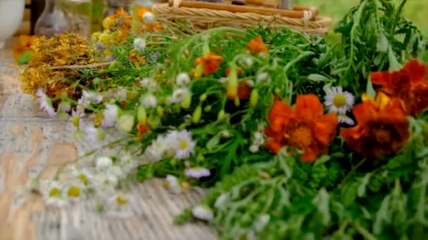 Medicinal Herbs Tinctures Table Selective Focus Nature — Vídeo de stock