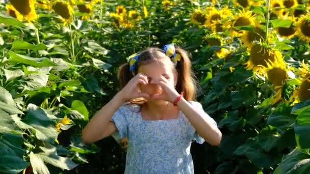 Child Plays Field Sunflowers Ukraine Selective Focus Kid — Stok video