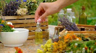 Woman makes tincture with medicinal herbs. Selective focus. Nature.
