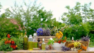 Medicinal herbs and tinctures on the table. Selective focus. Nature.