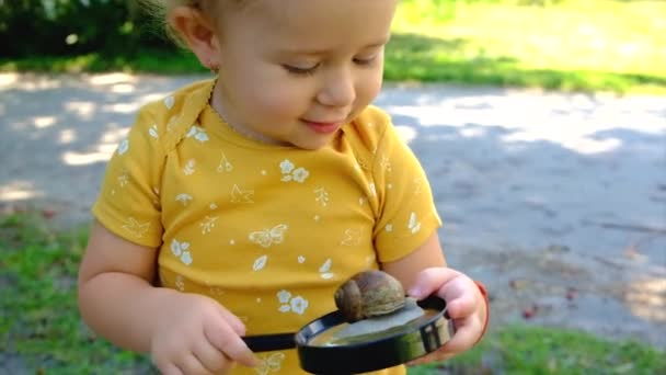 Child Look Snail Magnifying Glass Selective Focus Kid — ストック動画