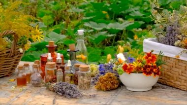 Medicinal herbs and tinctures on the table. Selective focus. Nature.