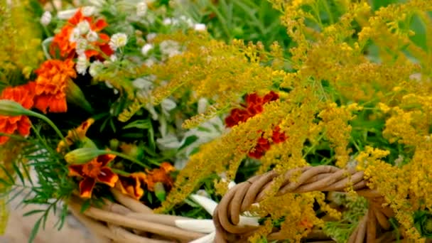 Medicinal Herbs Tinctures Table Selective Focus Nature — Stockvideo