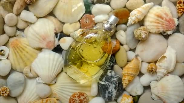 Perfume Freshness Marine Background Selective Focus Spa — Stock videók