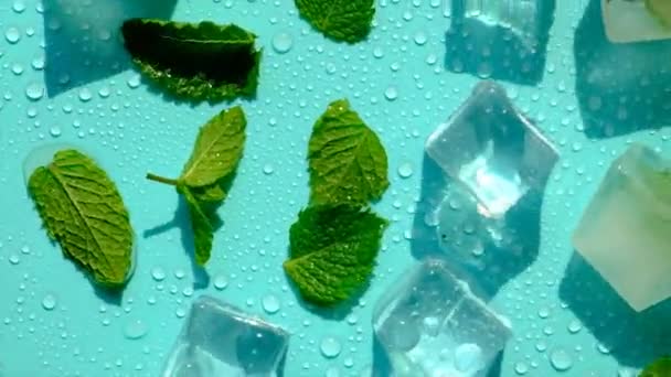 Ice Cubes Mint Blue Background Selective Focus Food — Stock Video