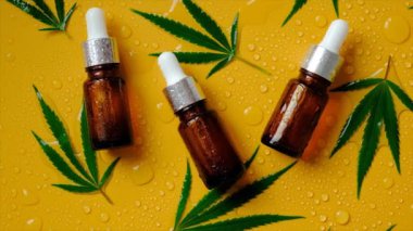 Cannabis leaf oil in a bottle. selective focus. Nature.