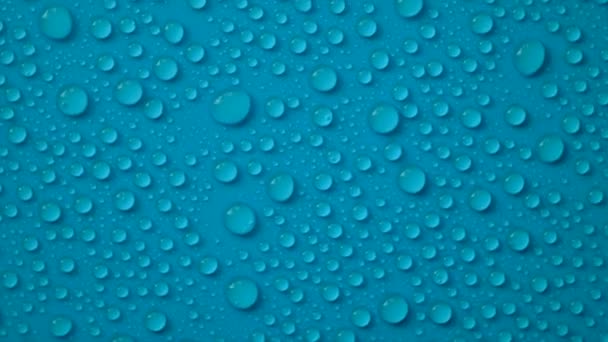 Water Drops Moisturizing Cosmetic Background Hyaluronic Acid Selective Focus Spa — 图库视频影像