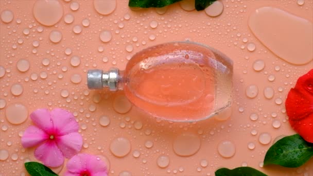 Background Perfume Water Drops Flowers Selective Focus Spa — Vídeo de Stock