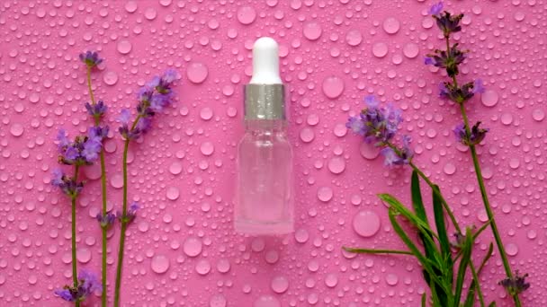 Cosmetic Product Lavender Essential Oil Selective Focus Spa — Vídeo de Stock