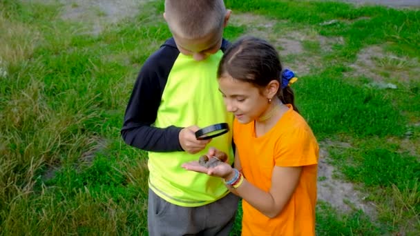 Children Look Snail Magnifying Glass Selective Focus Kid — Wideo stockowe