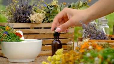 Woman makes tincture with medicinal herbs. Selective focus. Nature.
