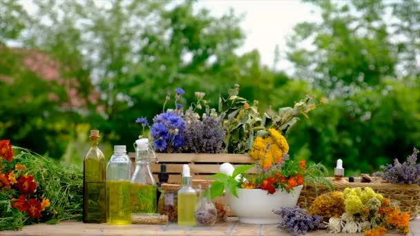 Medicinal Herbs Tinctures Table Selective Focus Nature — 图库视频影像