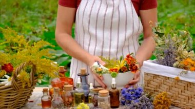 Woman makes tincture with medicinal herbs. Selective focus. Nature.