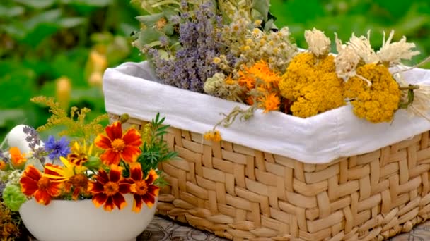 Medicinal Herbs Tinctures Table Selective Focus Nature — Vídeos de Stock