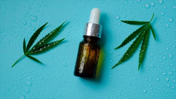 Cannabis Leaf Oil Bottle Selective Focus Nature — стоковое видео