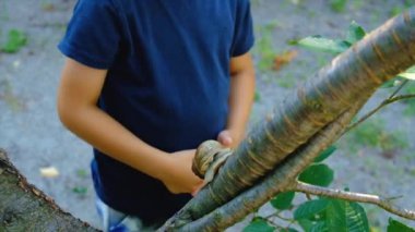 Children look at the snail. Selective focus. Kid.