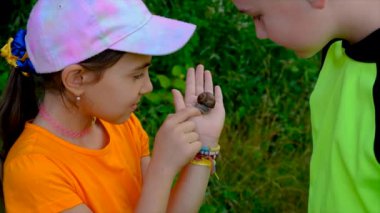 Children look at a snail with a magnifying glass, selective focus. Kid.
