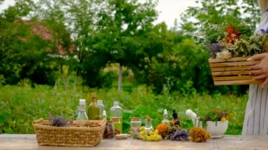 Woman makes tincture with medicinal herbs. Selective focus. Nature.