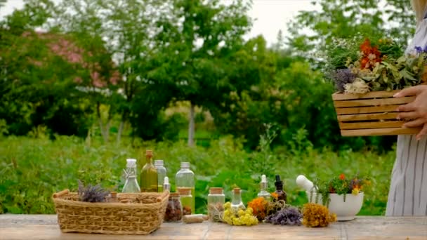 Woman Makes Tincture Medicinal Herbs Selective Focus Nature — 비디오