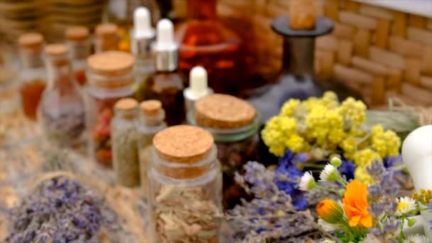 Medicinal Herbs Tinctures Table Selective Focus Nature — Vídeos de Stock