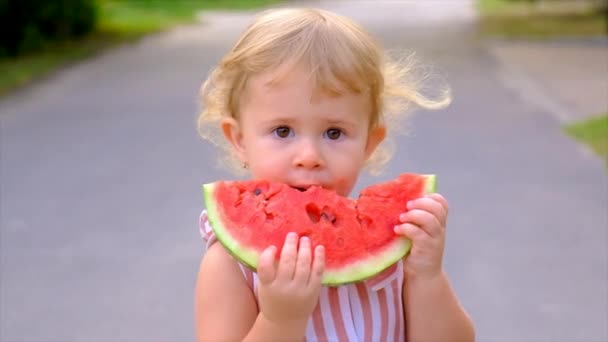 Child Eats Watermelon Summer Selective Focus Kid — Αρχείο Βίντεο