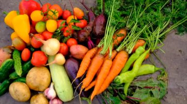 Harvest vegetables in the garden. Selective focus. Food.