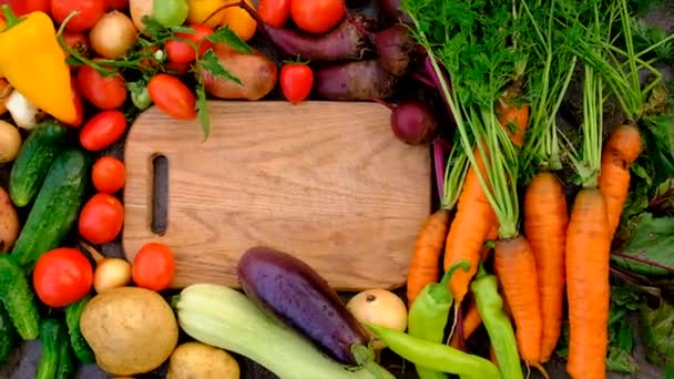 Harvest Vegetables Garden Selective Focus Food — Stock video