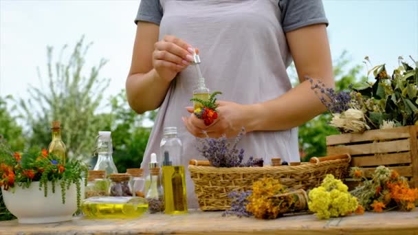 Woman Makes Tincture Medicinal Herbs Selective Focus Nature — Stockvideo