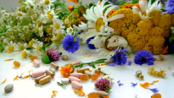 Homeopathie Voedingssupplementen Met Geneeskrachtige Kruiden Selectieve Focus Natuur — Stockvideo