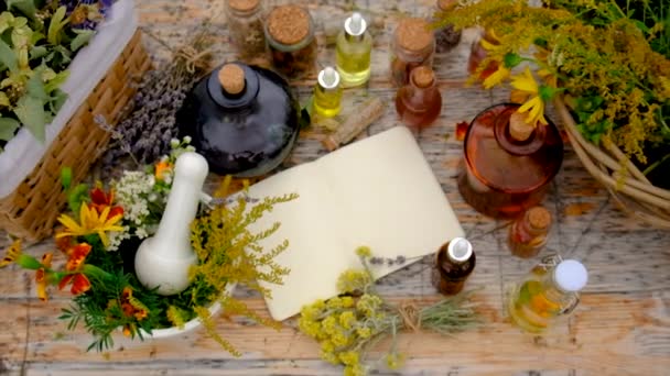 Medicinal Herbs Tinctures Table Selective Focus Nature — Wideo stockowe