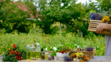 Woman makes tincture with medicinal herbs. Selective focus. Nature.