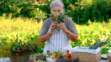 Kavanozdaki tentürler ve bitki özleri. Seçici odaklanma. Doğa.
