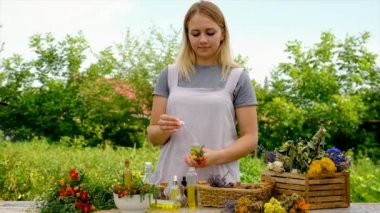 Woman makes tincture with medicinal herbs. Selective focus. Nature.