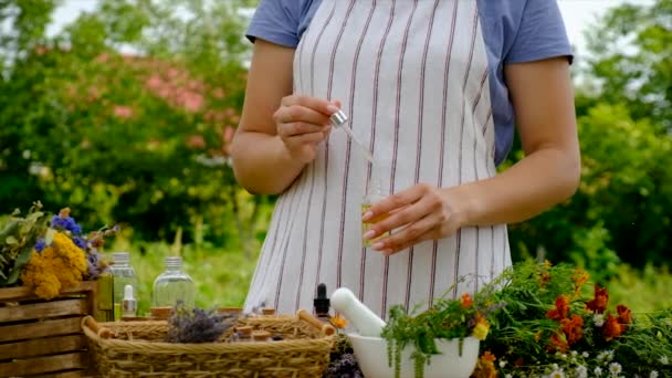 Woman Makes Tincture Medicinal Herbs Selective Focus Nature — Video