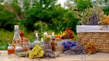 Woman makes tincture with medicinal herbs. Selective focus. Nature.
