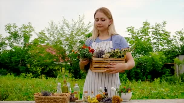 Woman Makes Tincture Medicinal Herbs Selective Focus Nature — Vídeos de Stock