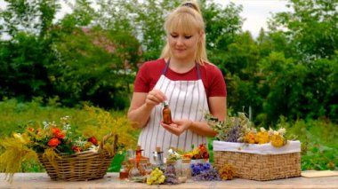 Woman makes tincture with medicinal herbs. Selective focus. Nature.
