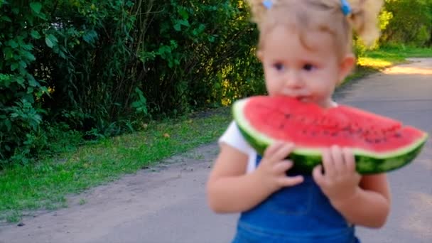 Child Eats Watermelon Summer Selective Focus Kid — Vídeo de Stock