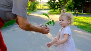 The child and grandmother are planting a tree. Selective focus. Kid.