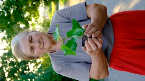 Grandmother Planting Tree Garden Selective Focus Nature — Stockvideo