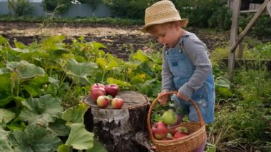 Bahçede elmalı çocuk. Seçici odaklanma. Çocuk.