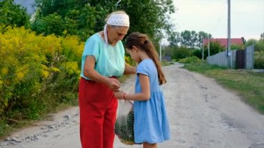 Children and grandmother carry vegetables in a bag. Selective focus. Food.