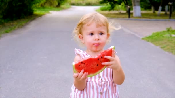 Child Eats Watermelon Summer Selective Focus Kid — Stockvideo