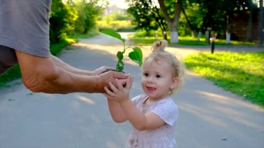 The child and grandmother are planting a tree. Selective focus. Kid.