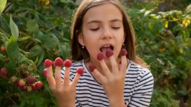 Bir çocuk bahçede ahududu topluyor. Seçici odaklanma. Çocuk.