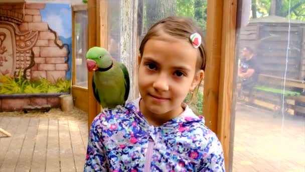 Child Holding Parrot His Hand Selective Focus People — Stock Video